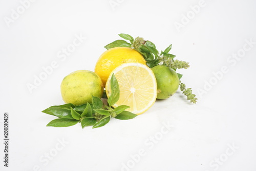 fresh lime and mint