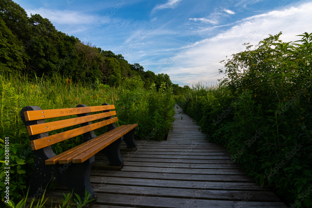 Bench on the trail Bench on the trail