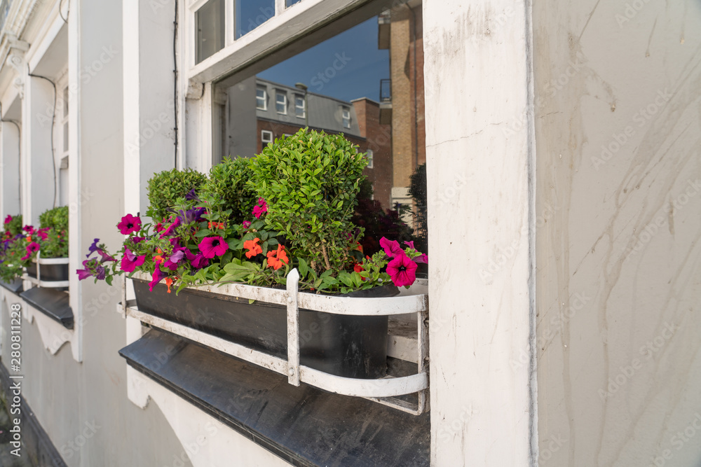 European window sill flower pots with shallow depth of fiels and white space on the right