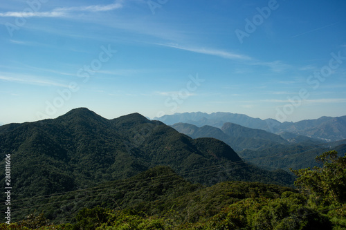 Mountains and forest