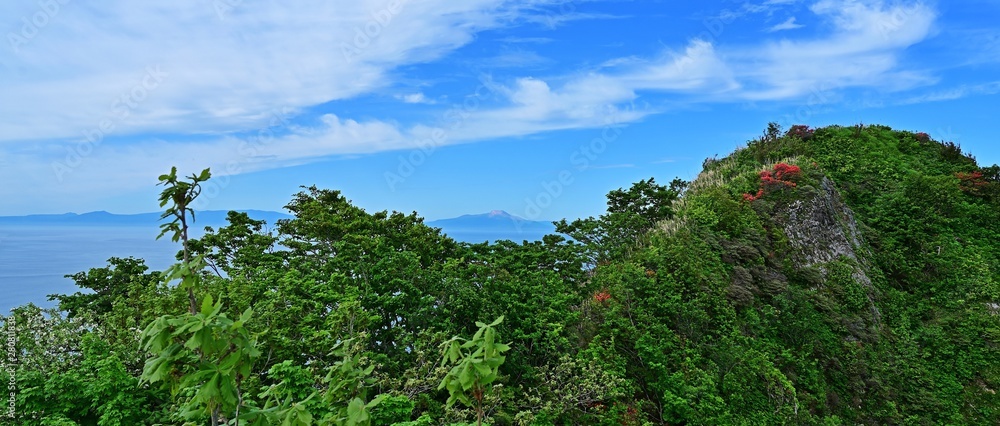 室蘭地球岬からみた駒ケ岳とツツジのコラボ情景