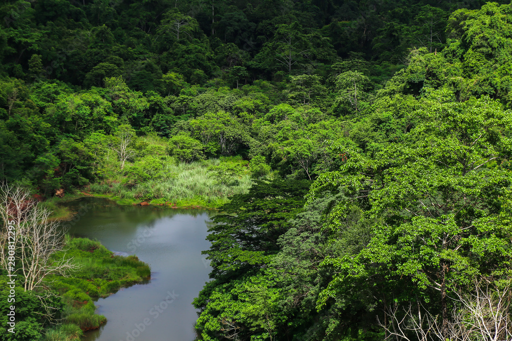 Scenery Upstream forest at Chulabhorn Dam, Chaiyaphum Province, Thailand