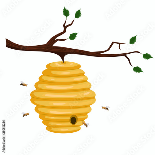 Beehive of wild bees hanging on a branch. Vector graphics isolated on white background. photo
