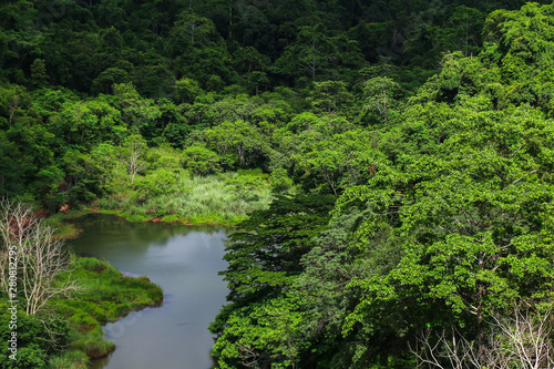 Scenery Upstream forest at Chulabhorn Dam  Chaiyaphum Province  Thailand