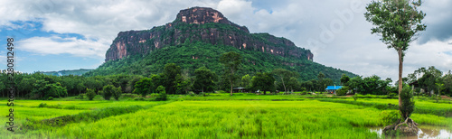 landscape green fields with big mountain background in thailand