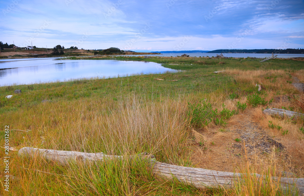 Marsh lands in Whidbey island in Washington state