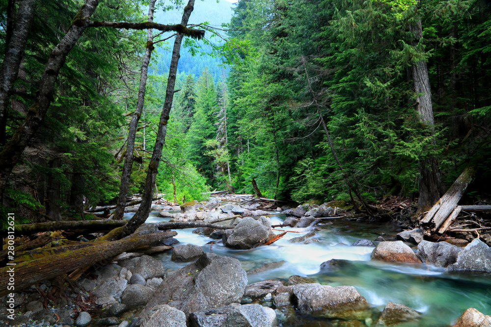 Obraz premium Tye river scenic creek in Northcascades national forest,washington