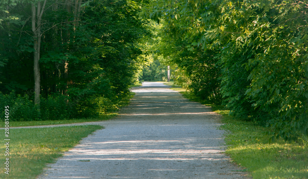 Long  pathway in the park 