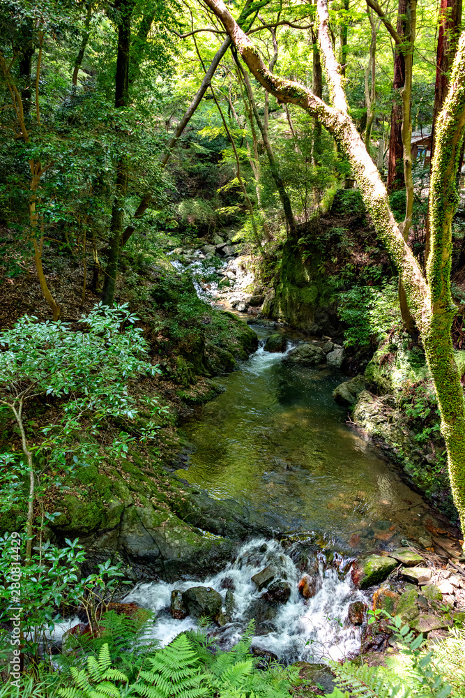 Hiking trail along Minoh river for Minoh falls Hiking trail along Minoh river for Minoh falls