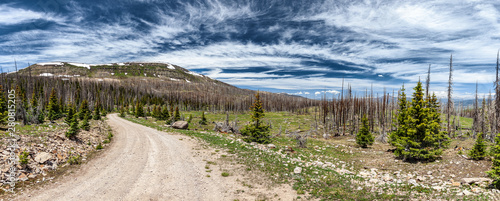 Dirt Road in Colorado's Rio Grande National Forest