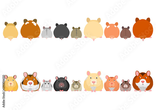 cute hamsters in a row