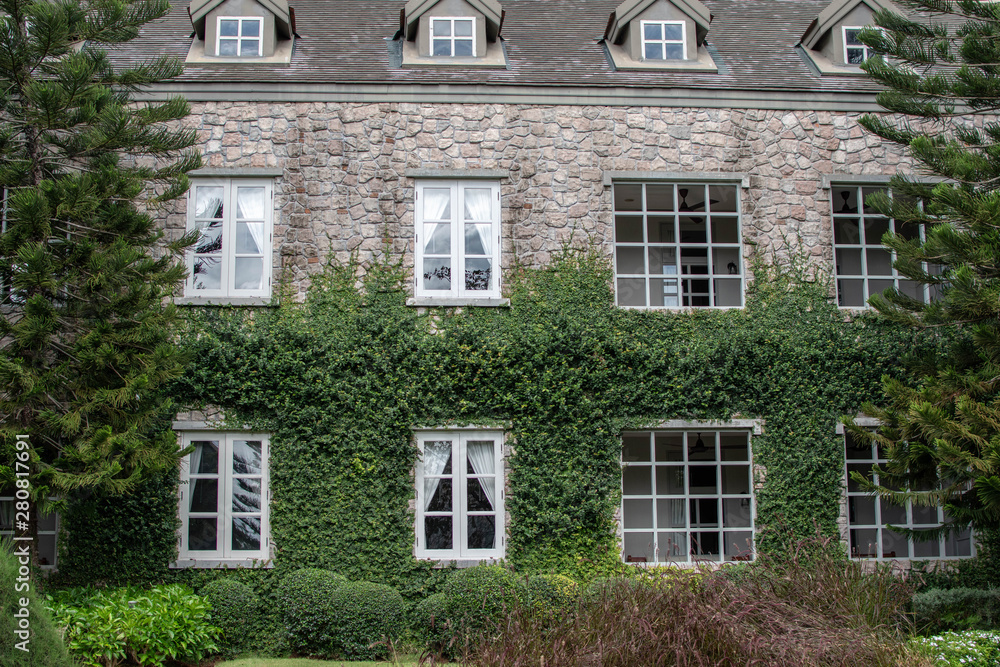 Fototapeta premium old brick building wtih ivy