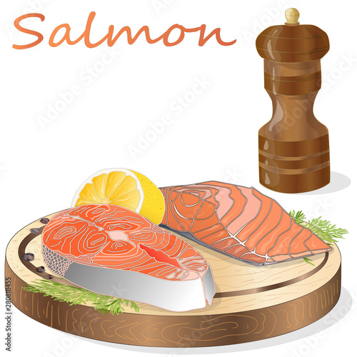 Raw salmon fillets with herbs on wooden dwsk. White background. Vector illustration