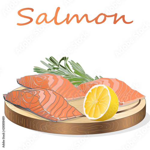 Raw salmon fillets with herbs on wooden dwsk. White background. Vector illustration
