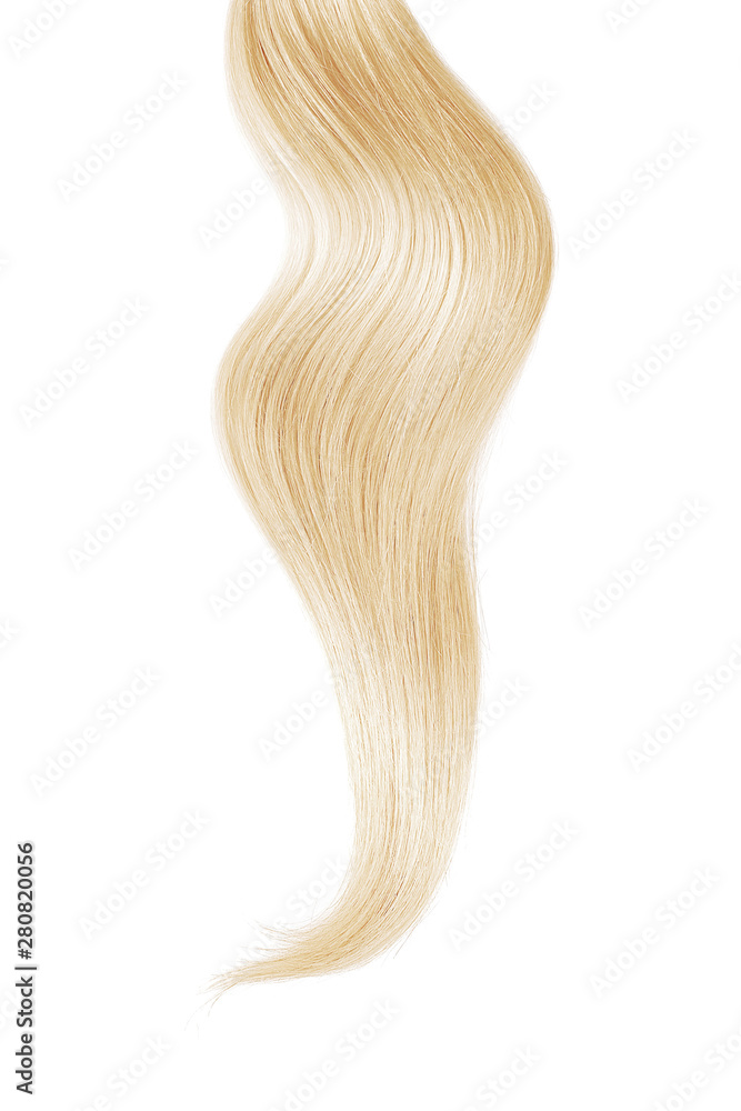 Blond hair isolated on white background. Long ponytail. Blond hair isolated on white background. Long ponytail.