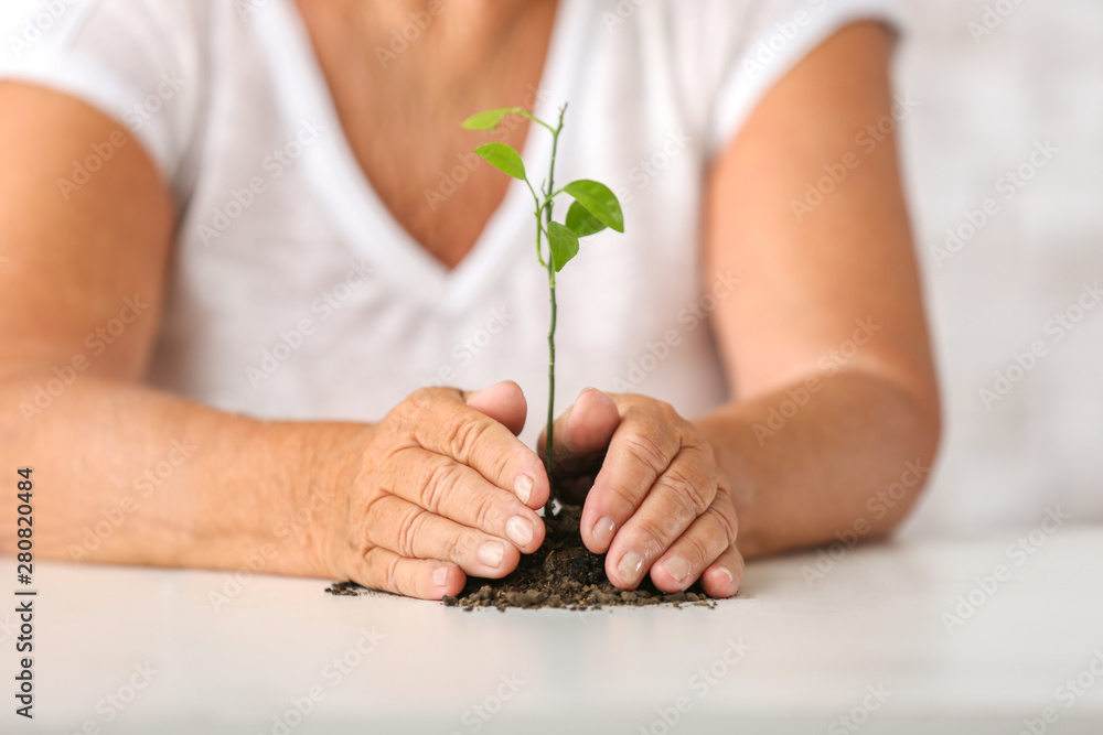 Elderly woman with young green plant, closeup Elderly woman with young green plant, closeup