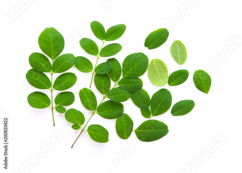 .Moringa leaves isolated on white background © wannadang1