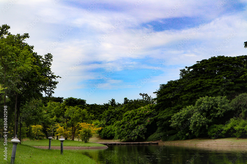 Beautiful colorful red and pink flowers and green nature plant tree forest in the public garden and green city parks Beautiful colorful red and pink flowers and green nature plant tree forest in the public garden and green city parks