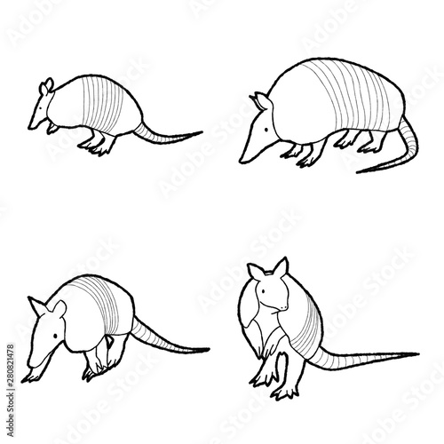 Armadillo Animal Vector Illustration Hand Drawn Cartoon Art