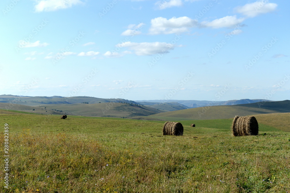 Obraz premium Rural landscape with harvested hay rolls in the foothills of the Altai mountains. Western Siberia. Russia