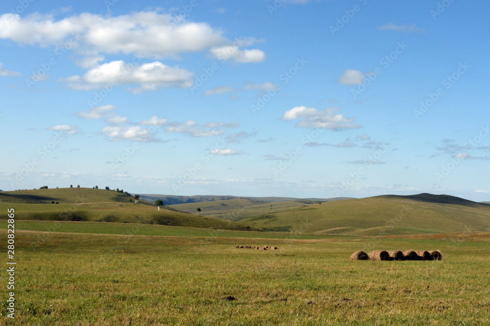 Rural landscape with harvested hay rolls in the foothills of the Altai mountains. Western Siberia. Russia