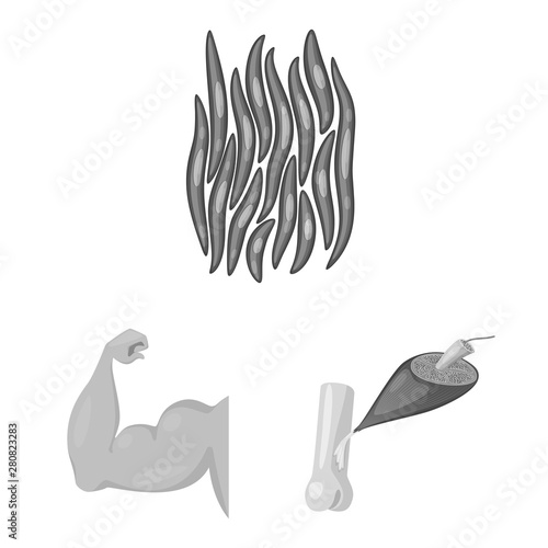 Isolated object of human and body logo. Collection of human and cells stock vector illustration.