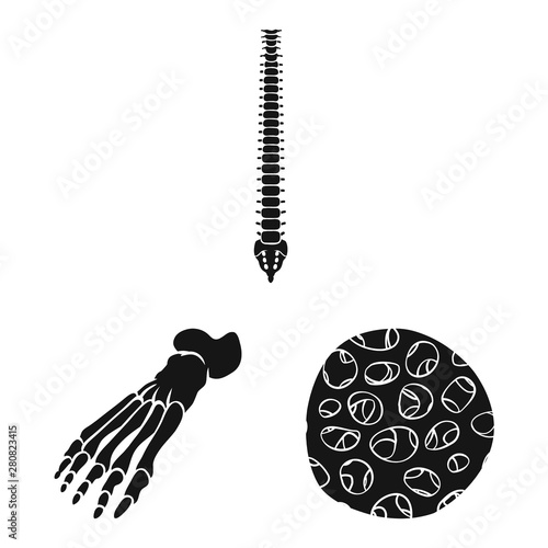 Vector illustration of biology and medical logo. Collection of biology and skeleton stock vector illustration.