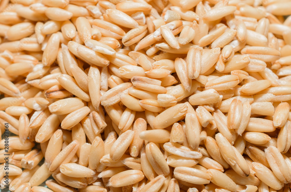 natural oat grains close-up, healthy eating concept, food background natural oat grains close-up, healthy eating concept, food background