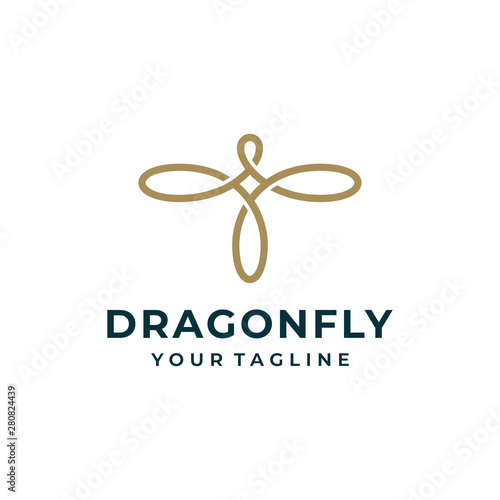 Dragonfly logo and icon design vector.