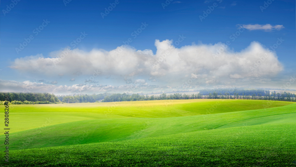 Obraz premium green field and blue sky