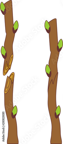 Spring grafting tree. Whip and tongue graft
