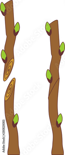 Spring grafting tree. Splice Graft