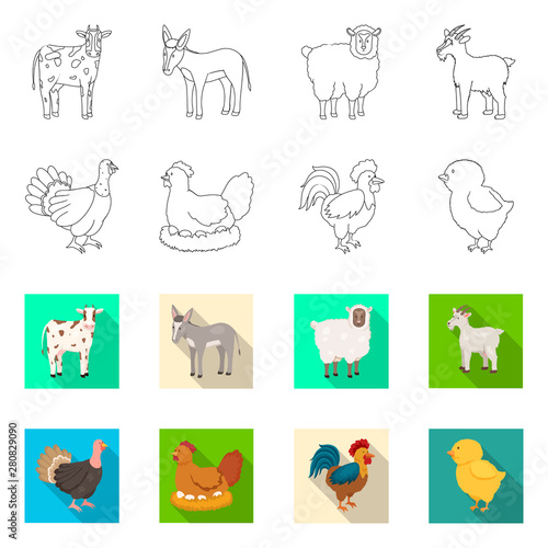 Vector design of breeding and kitchen logo. Collection of breeding and organic stock symbol for web.