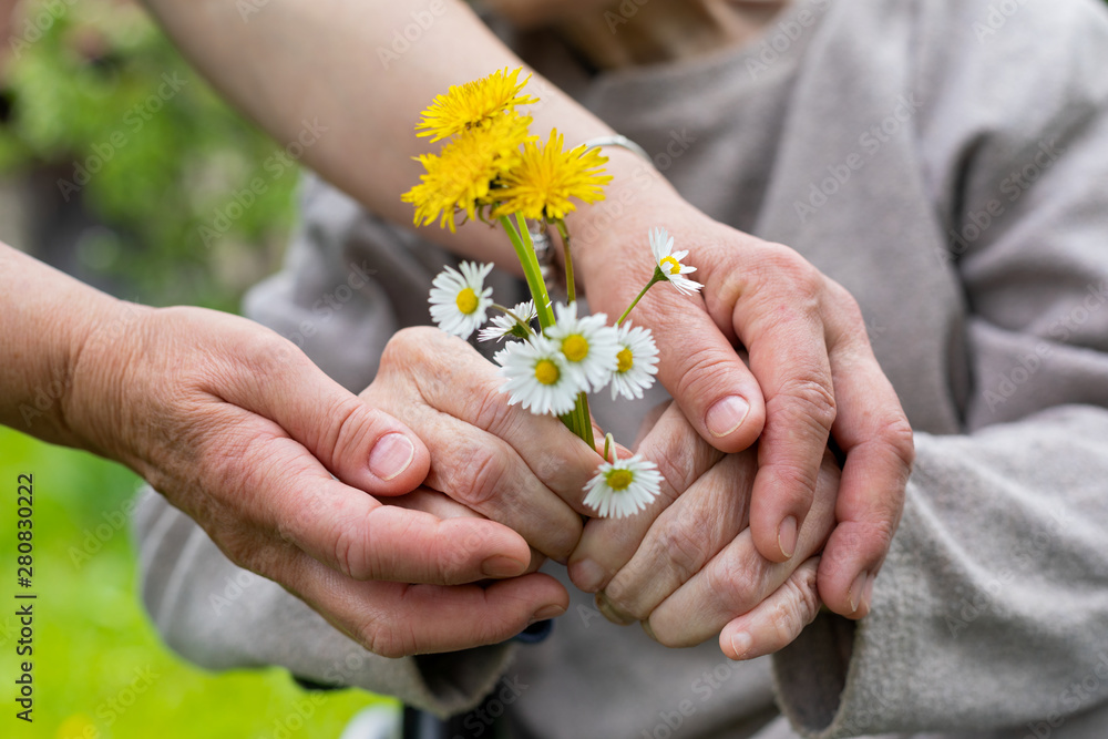 Elderly care - hands, bouquet Elderly care - hands, bouquet