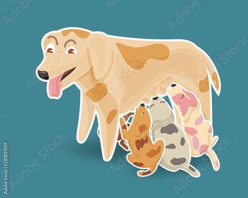Mother dog nursing her puppies.