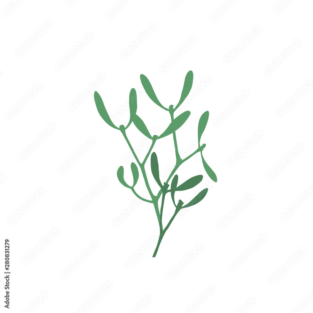 ink branch of mistletoe ink branch of mistletoe
