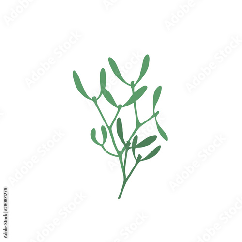 ink branch of mistletoe