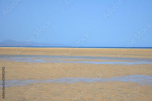 Fototapeta Naklejka Na Ścianę i Meble -  Large Fine Sand Beach of Sotavento with Low Tide in Fuerteventura