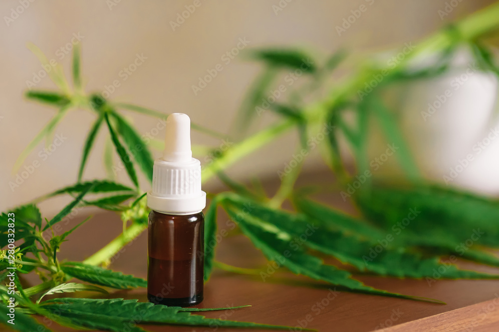 Hemp oil. Bottle of Cannabis oil against Marijuana plant. CBD oil pipette Hemp oil. Bottle of Cannabis oil against Marijuana plant. CBD oil pipette