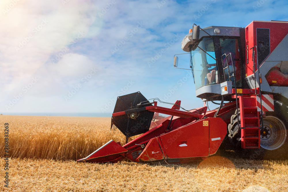 Fototapeta premium combine harvester in action in the fields