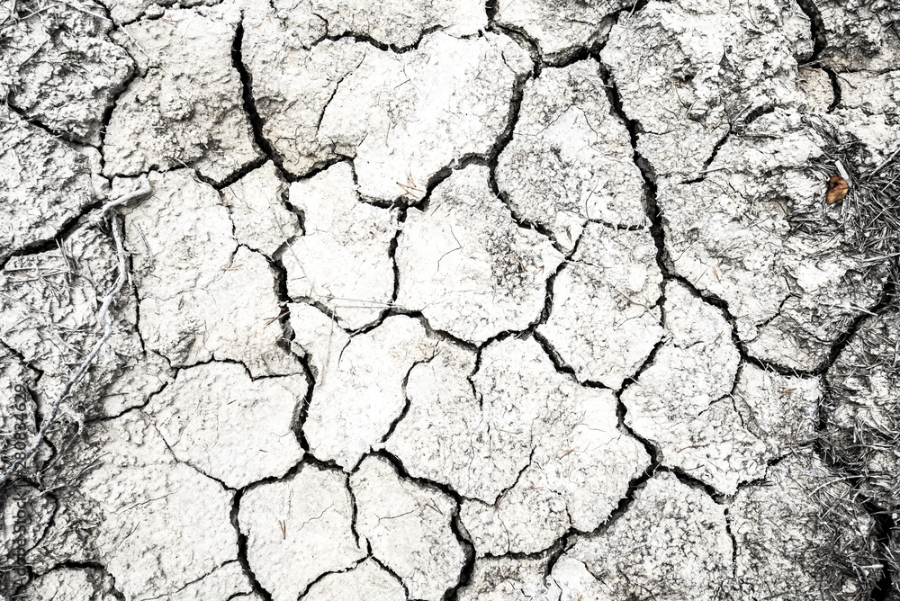 Fototapeta premium Dried and Cracked desert ground texture background