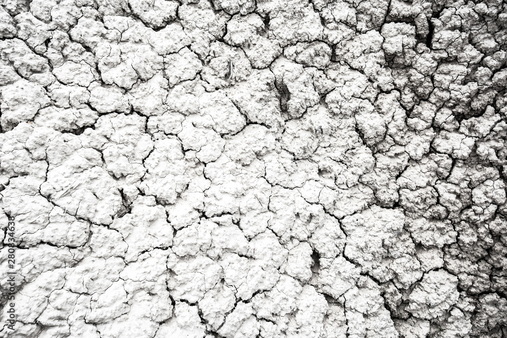 Dried and Cracked desert ground texture background Dried and Cracked desert ground texture background