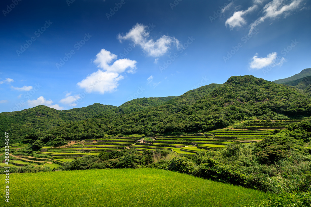 Fototapeta premium 日本の棚田