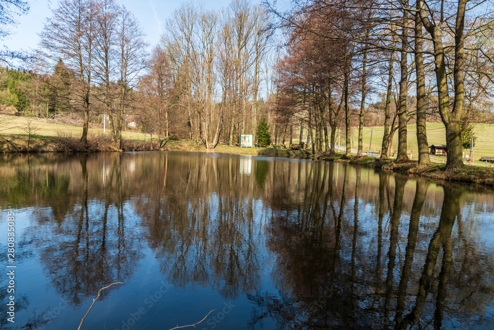 small pond with trees mirroring on water ground and clear sky