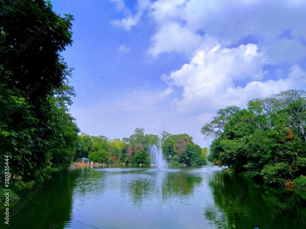 lake in the park