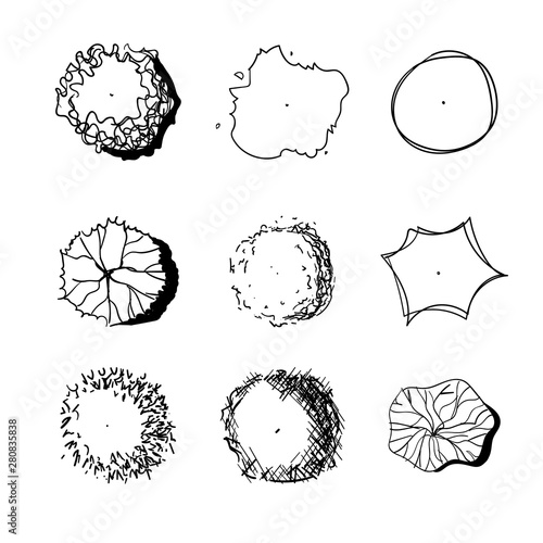 Hand drawn set of graphic trees, top view, for architecture and landscape.