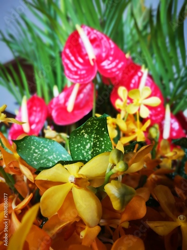Beautiful orchid decoration for events and ceremony.