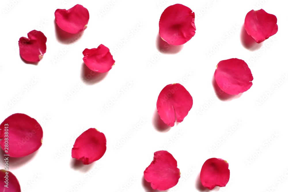 Blurred a pile of sweet red rose corollas on white isolated background Blurred a pile of sweet red rose corollas on white isolated background
