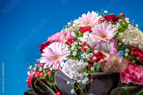 Wallpaper Mural フラワーバスケット Torontodigital.ca