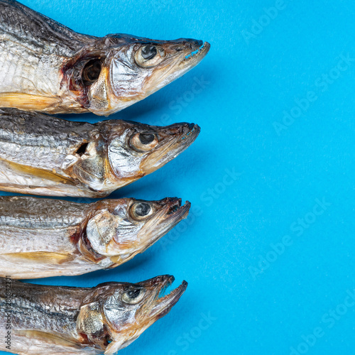 Top view of small of dry sea fish, smelt on the blue background. Fish pattern. Right copy space for text